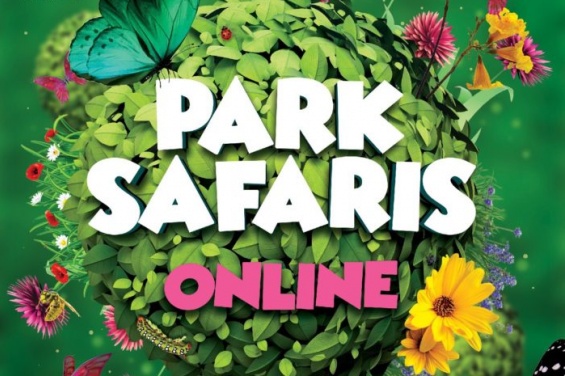 Park Safaris Park Safaris