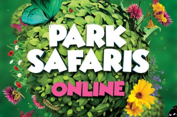 Park Safaris