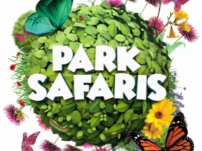 Park Safaris - St John's Recreation Ground