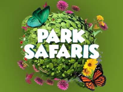 Park Safaris - Dunorlan Park
